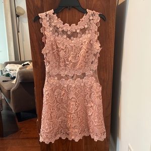 Top Shop Open Back Lace Pink Floral Skater Dress